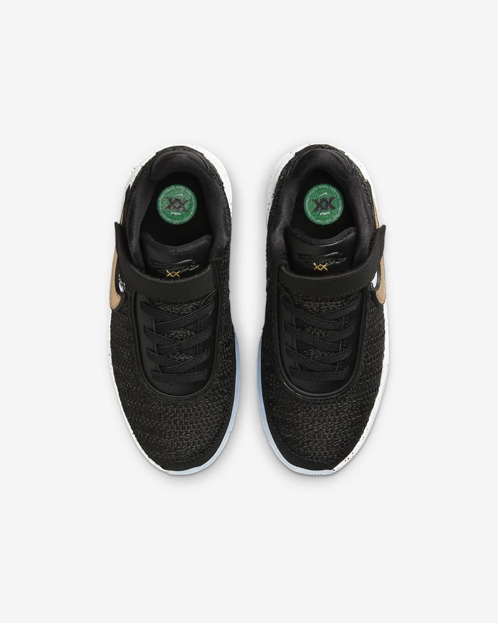 LeBron XX Black/White/Pure Platinum/Metallic Gold | Kids Nike Basketball