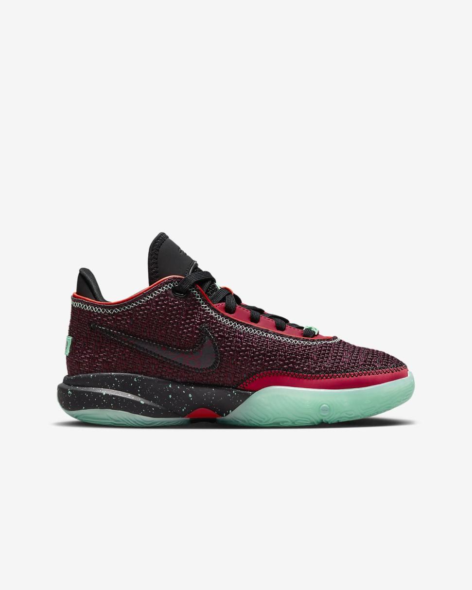 LeBron XX SE Night Maroon/Black/Emerald Rise/Multi-Color | Kids Nike Basketball
