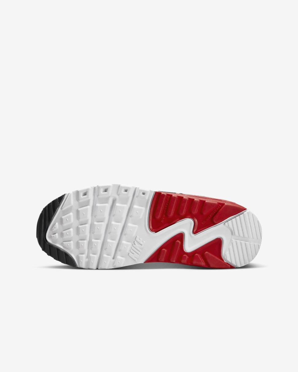 Nike Air Max 90 Light Iron Ore/Summit White/Black/University Red | Kids Nike Air Max
