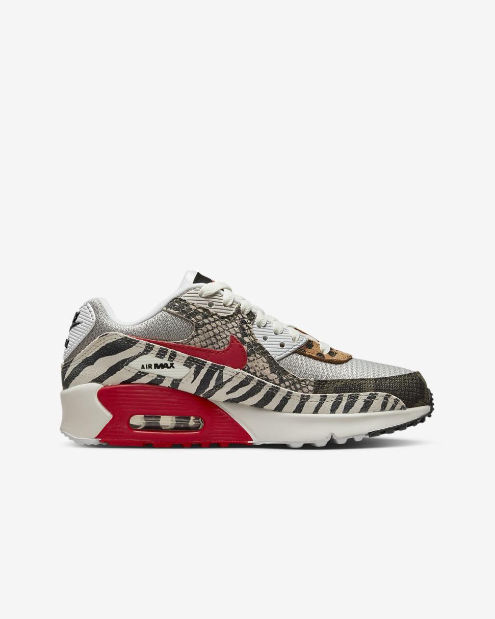 Nike Air Max 90 Light Iron Ore/Summit White/Black/University Red | Kids Nike Air Max