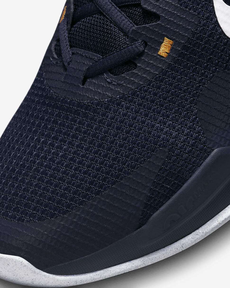 Nike Air Max Alpha Trainer 5 Obsidian/Racer Blue/Sundial/White | Mens Nike Training & Gym