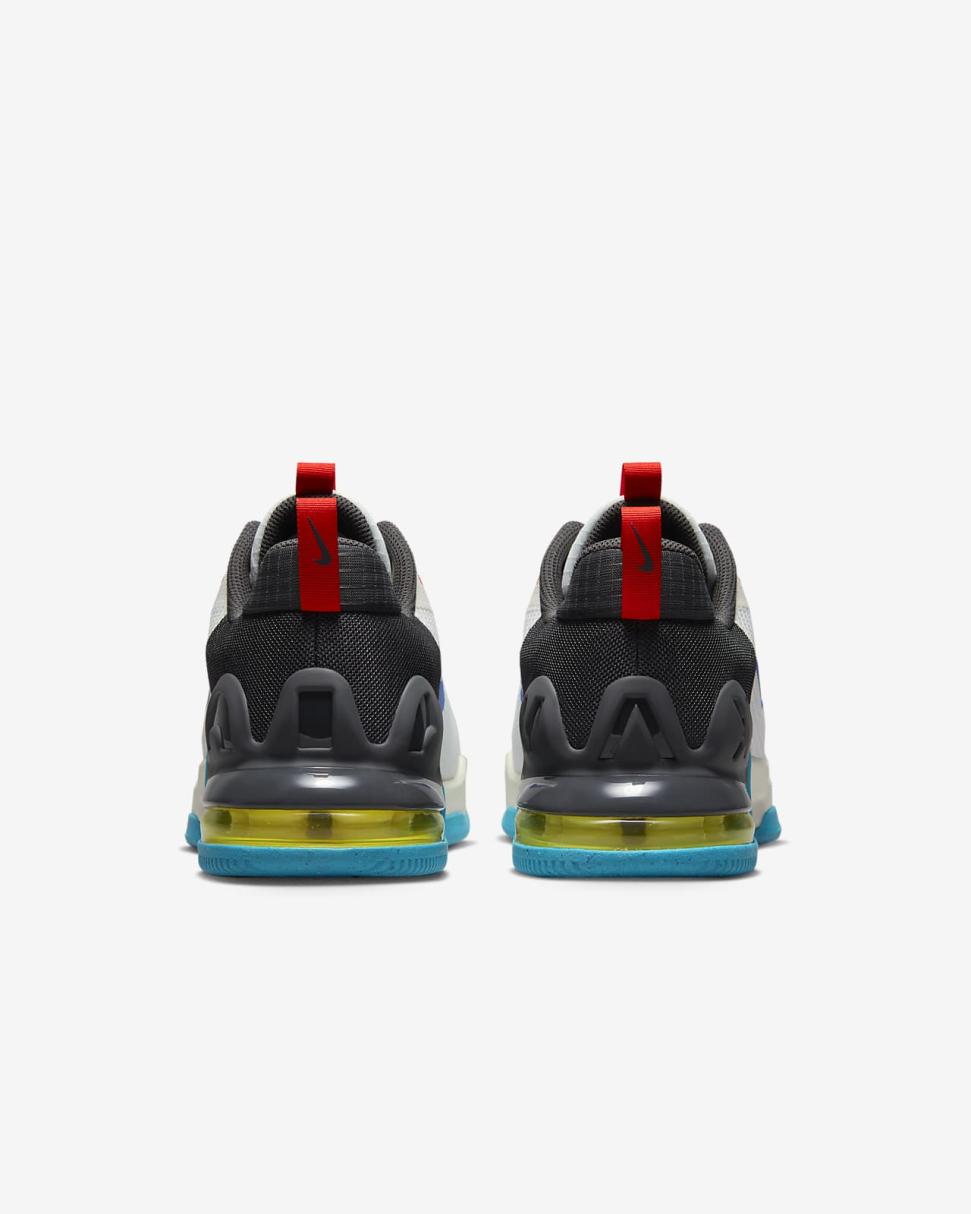 Nike Air Max Alpha Trainer 5 Sail/Anthracite/Blue Lightning/Hyper Royal | Mens Nike Training & Gym