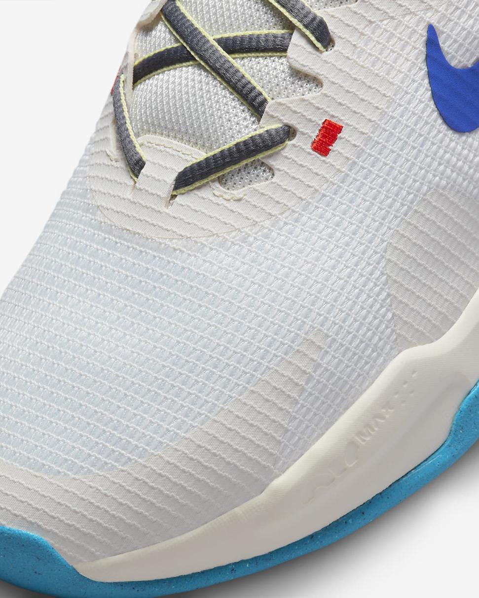 Nike Air Max Alpha Trainer 5 Sail/Anthracite/Blue Lightning/Hyper Royal | Mens Nike Training & Gym