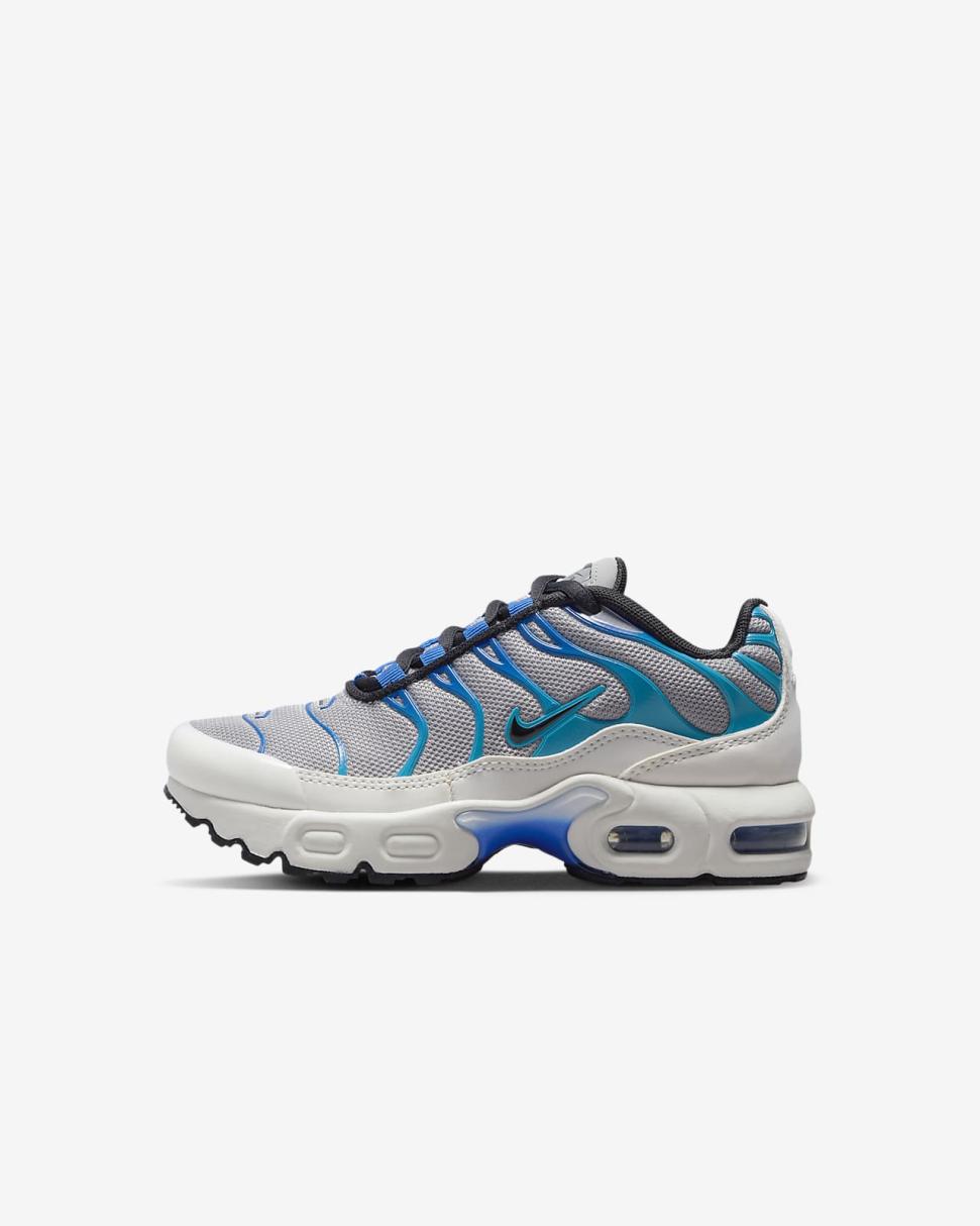 Nike Air Max Plus Light Smoke Grey/Blue Lightning/Racer Blue/Black | Kids Nike First Day Kicks