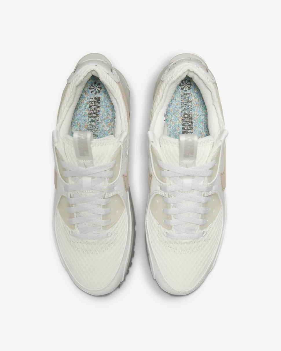 Nike Air Max Terrascape 90 Summit White/Photon Dust/Light Iron Ore | Mens Nike Lifestyle