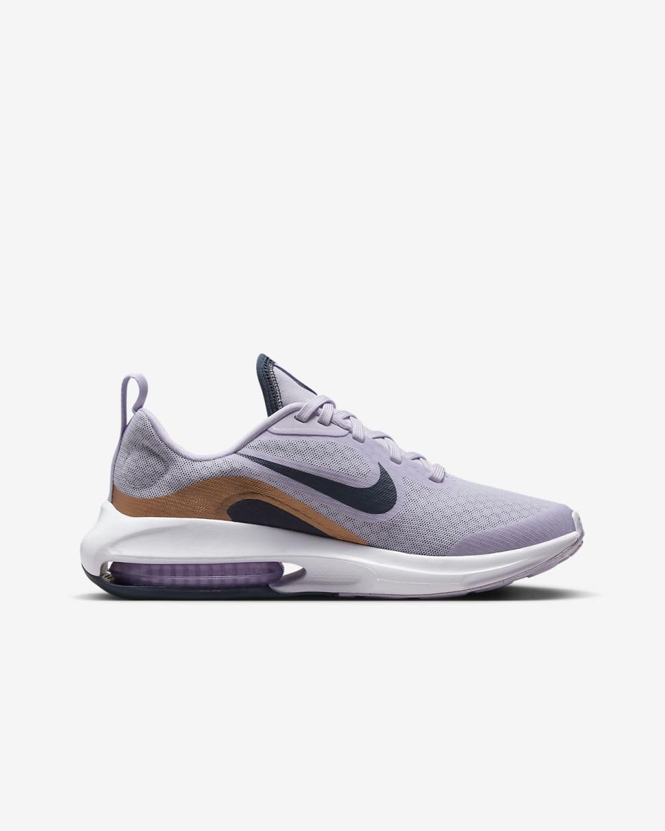 Nike Air Zoom Arcadia 2 Barely Grape/Metallic Copper/Violet Frost/Thunder Blue | Kids Nike First Day Kicks
