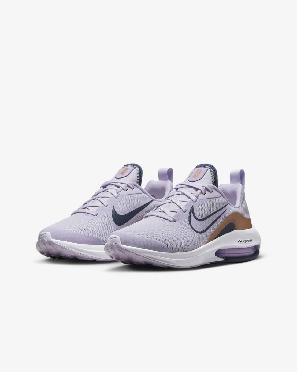 Nike Air Zoom Arcadia 2 Barely Grape/Metallic Copper/Violet Frost/Thunder Blue | Kids Nike First Day Kicks