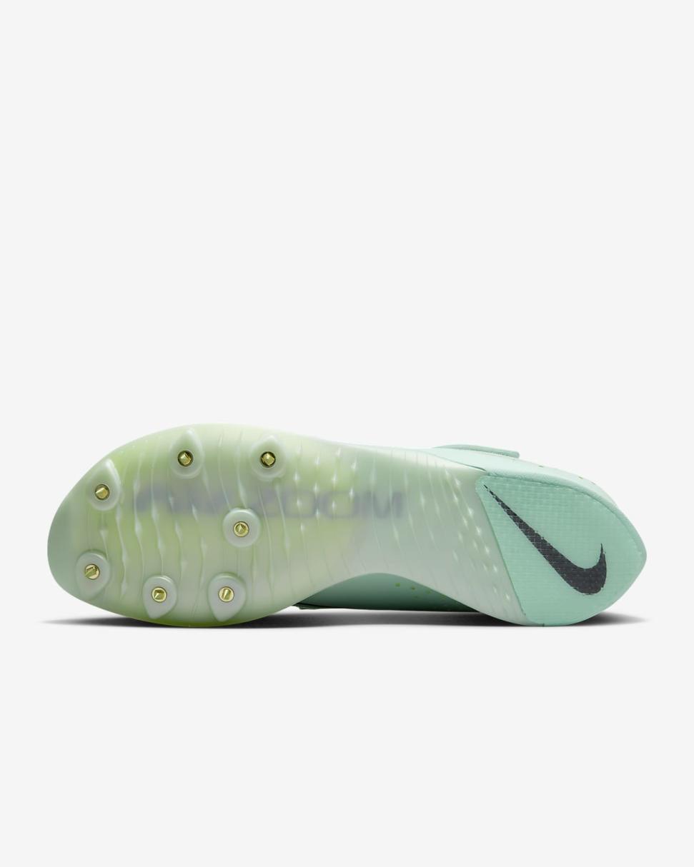 Nike Air Zoom LJ Elite Mint Foam/Volt/Cave Purple | Mens/Womens Nike Running