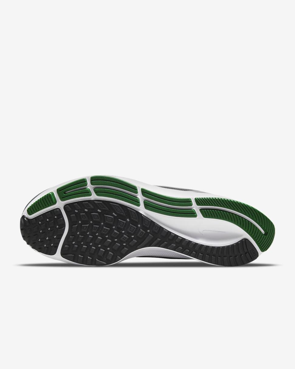 Nike College Pegasus 38 (Oregon) Anthracite/Apple Green/Yellow Strike/White | Mens Nike Running