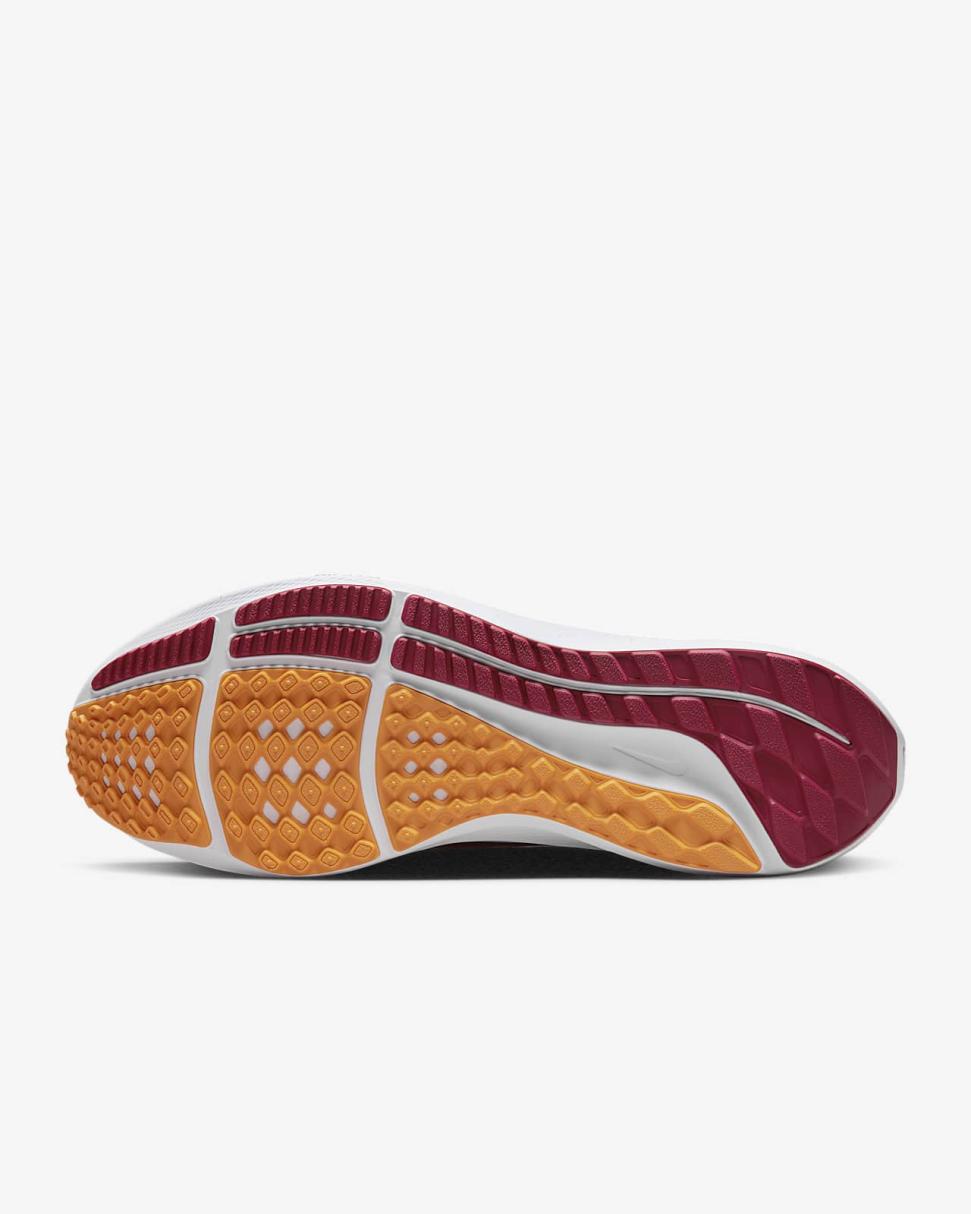 Nike College Pegasus 39 (USC) Team Crimson/Team Crimson/University Gold/White | Mens Nike Lifestyle