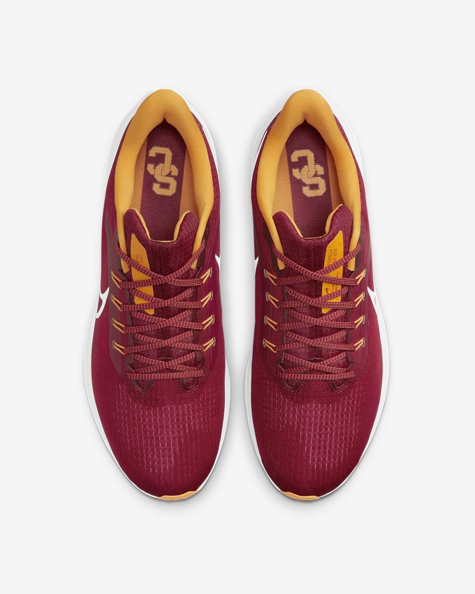 Nike College Pegasus 39 (USC) Team Crimson/Team Crimson/University Gold/White | Mens Nike Lifestyle