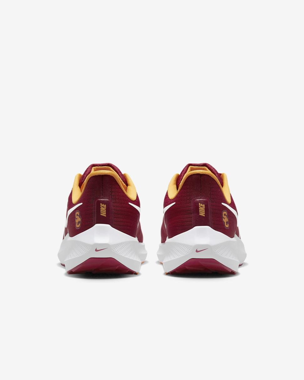 Nike College Pegasus 39 (USC) Team Crimson/Team Crimson/University Gold/White | Mens Nike Lifestyle