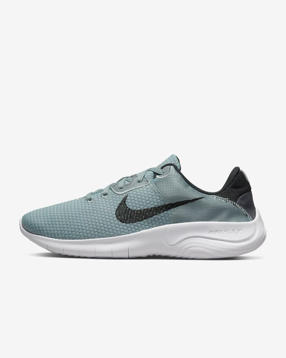 Nike Flex Experience Run 11 Aviator Grey/Metallic Silver/Black | Mens Nike First Day Kicks