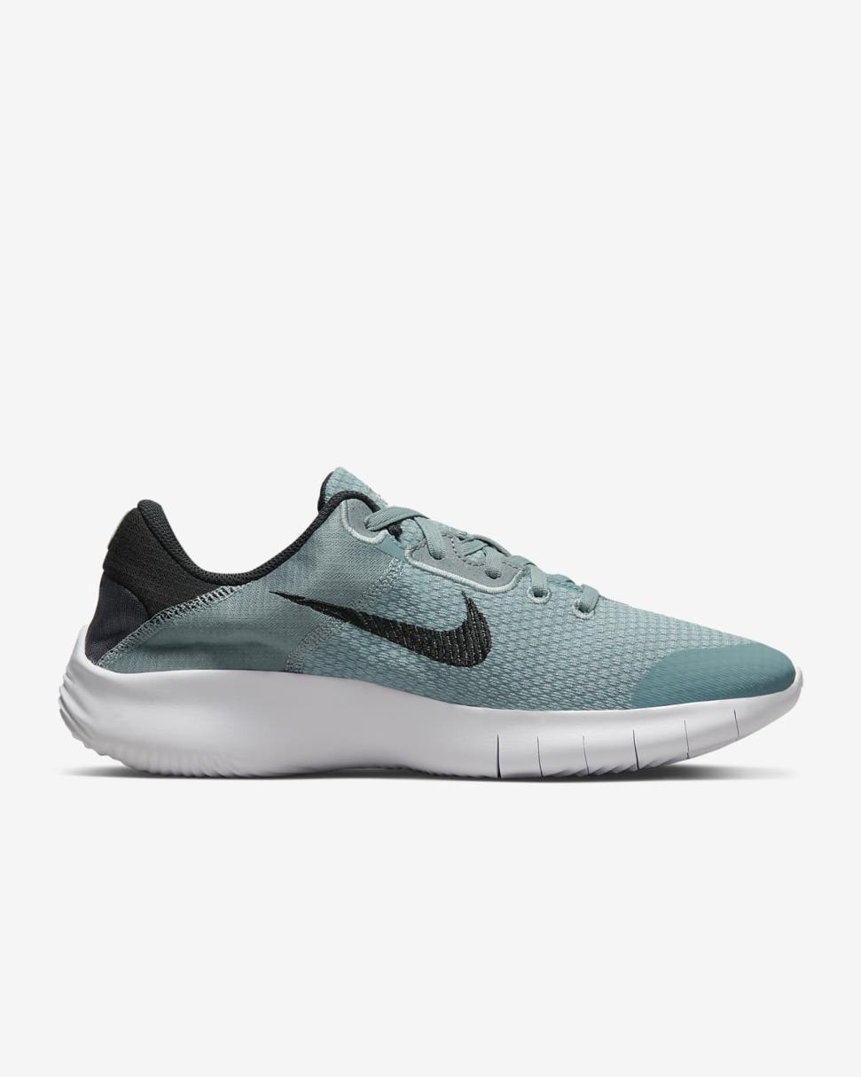 Nike Flex Experience Run 11 Aviator Grey/Metallic Silver/Black | Mens Nike First Day Kicks