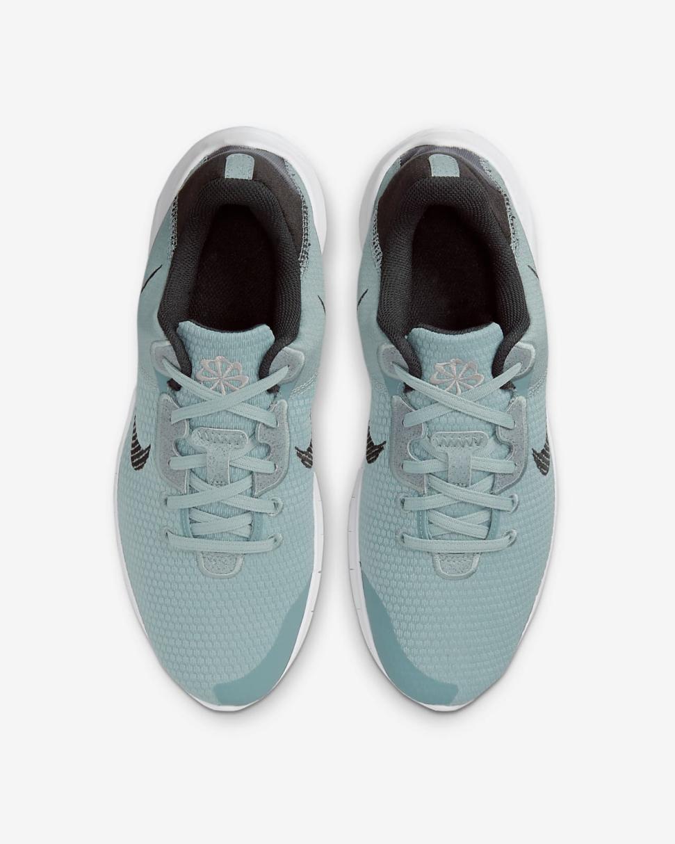 Nike Flex Experience Run 11 Aviator Grey/Metallic Silver/Black | Mens Nike First Day Kicks