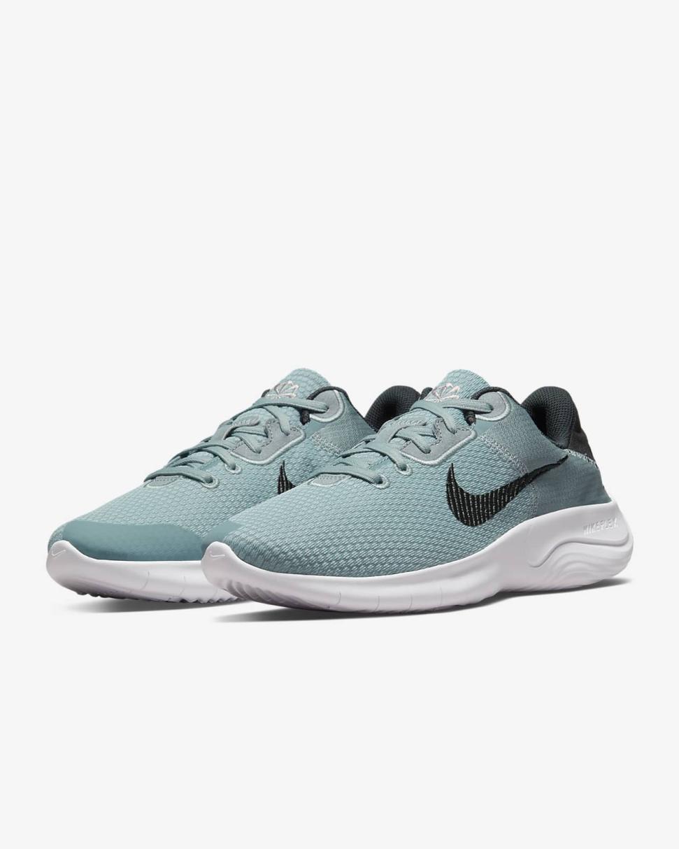 Nike Flex Experience Run 11 Aviator Grey/Metallic Silver/Black | Mens Nike First Day Kicks