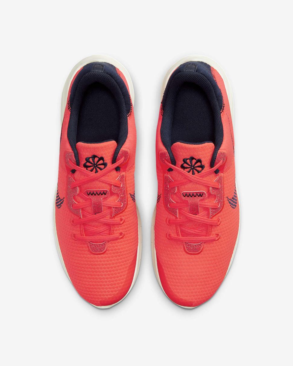 Nike Flex Experience Run 11 Bright Crimson/Sail/Obsidian | Mens Nike First Day Kicks