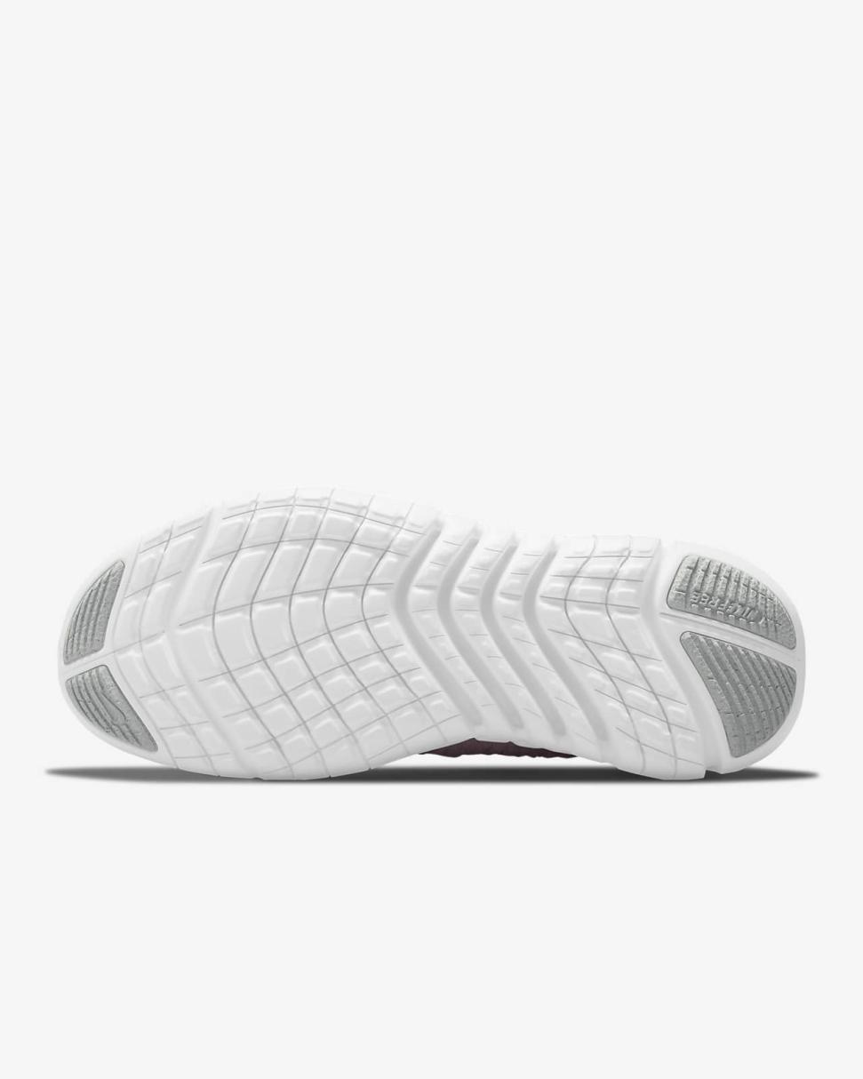 Nike Free Run 5.0 Platinum Violet/Champagne/White | Womens Nike First Day Kicks