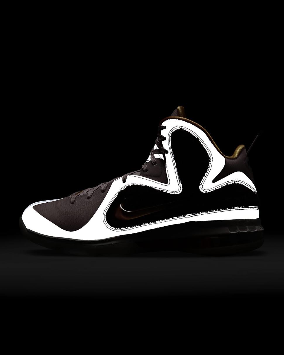 Nike LeBron IX Regal Pink/Velvet Brown/White/Multi-Color | Mens Nike Lifestyle