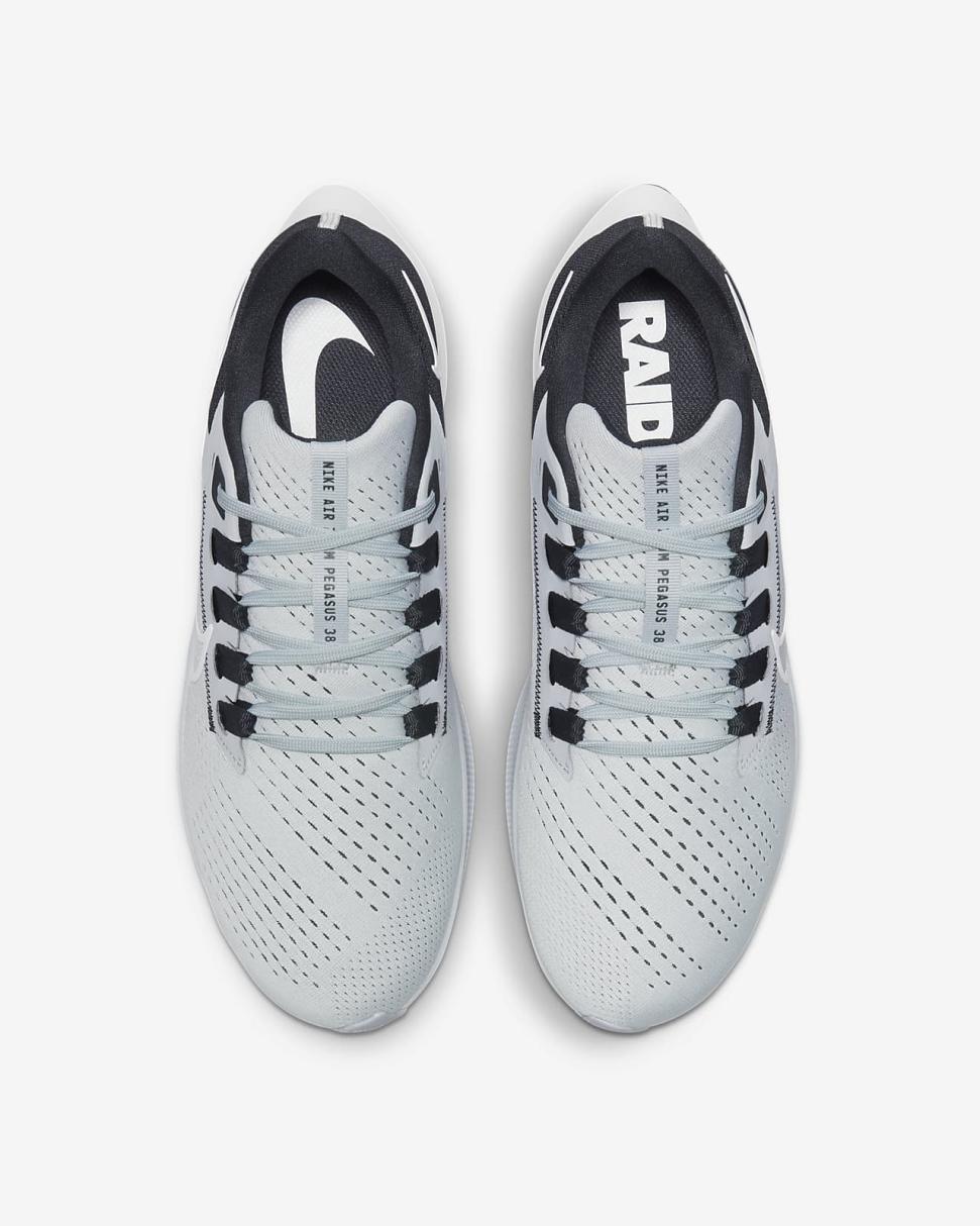 Nike Pegasus 38 (NFL Las Vegas Raiders) Field Silver/Black/White | Mens Nike Running