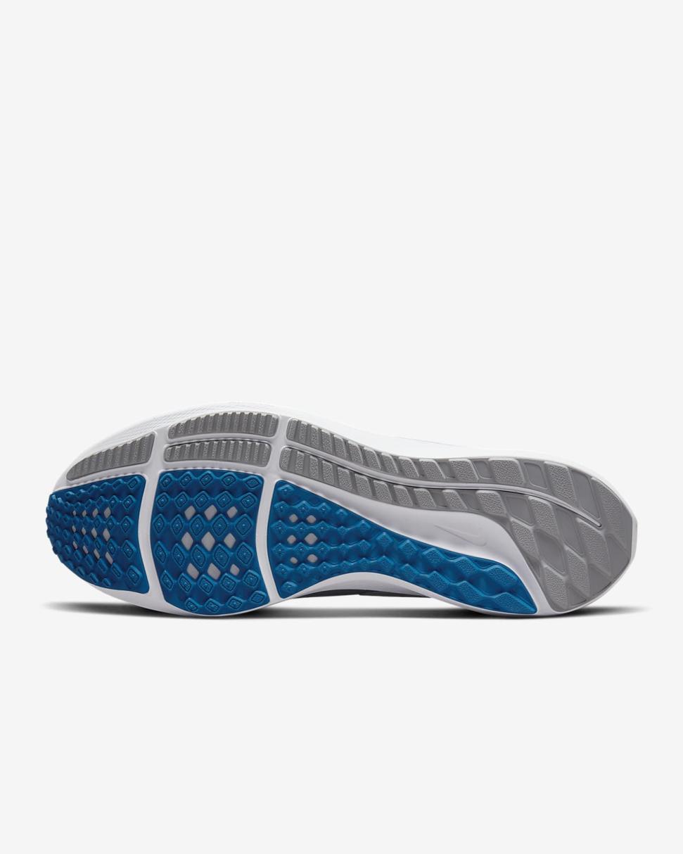 Nike Pegasus 39 (NFL Detroit Lions) Medium Silver/Medium Silver/Battle Blue/White | Mens Nike Running