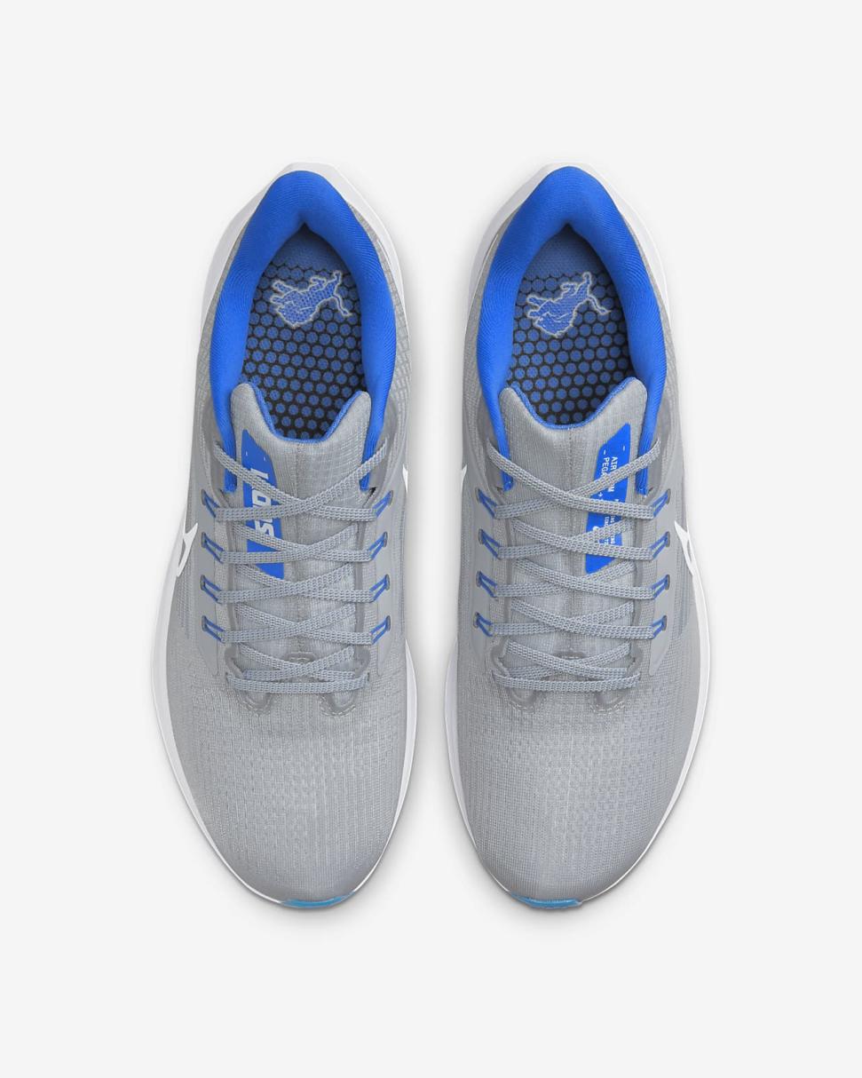 Nike Pegasus 39 (NFL Detroit Lions) Medium Silver/Medium Silver/Battle Blue/White | Mens Nike Running