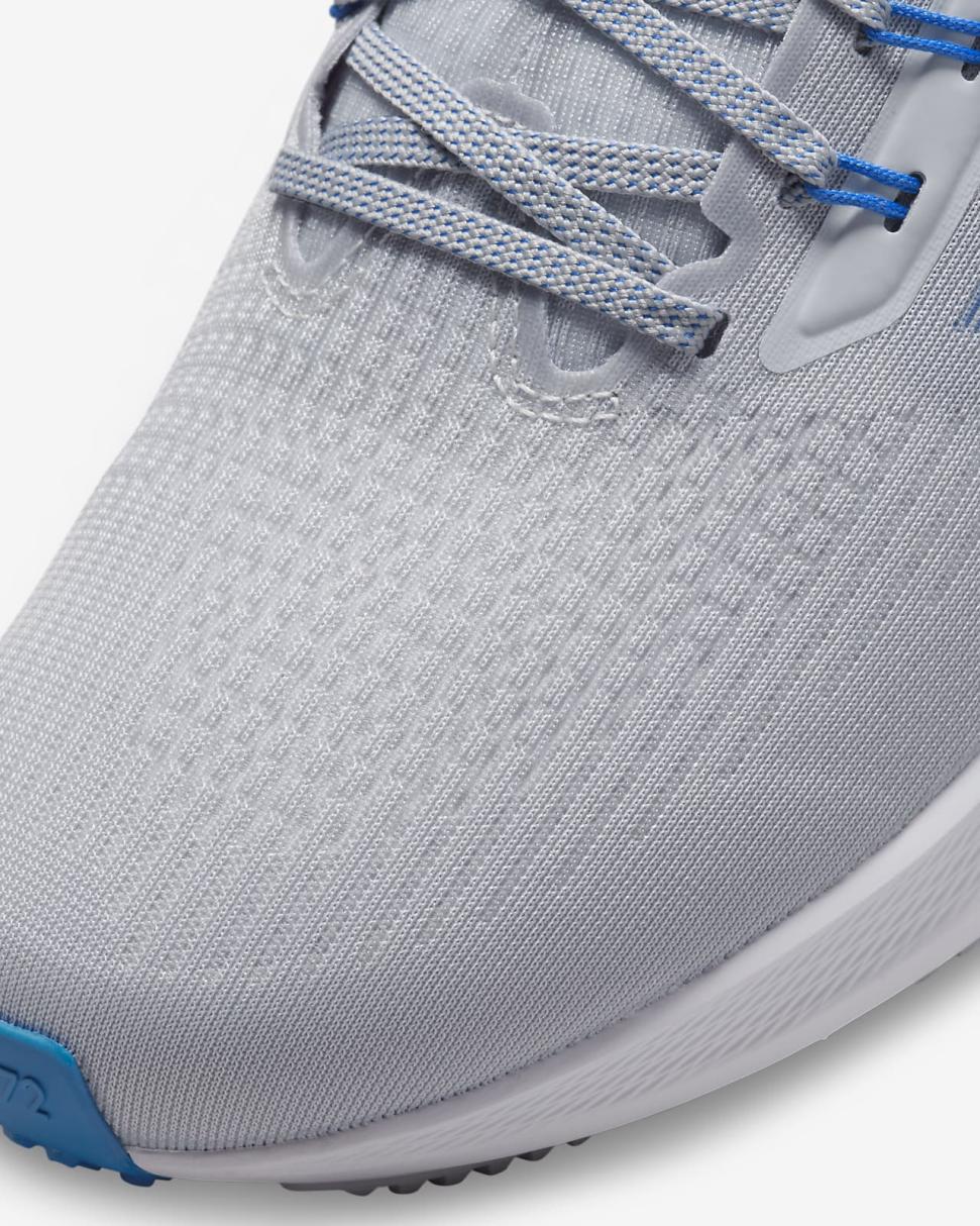 Nike Pegasus 39 (NFL Detroit Lions) Medium Silver/Medium Silver/Battle Blue/White | Mens Nike Running