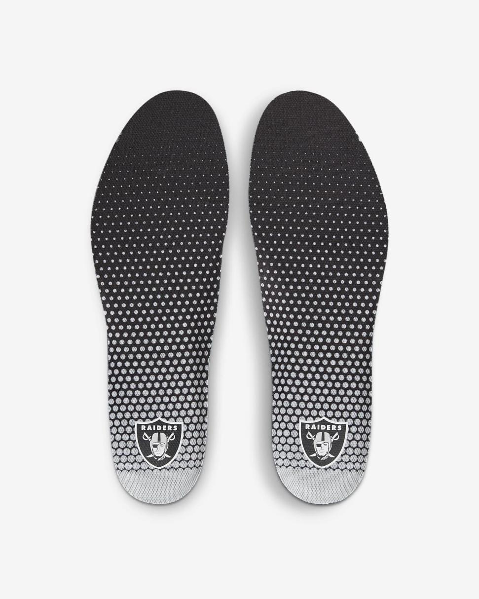 Nike Pegasus 39 (NFL Las Vegas Raiders) Black/Black/Field Silver/White | Mens Nike Running