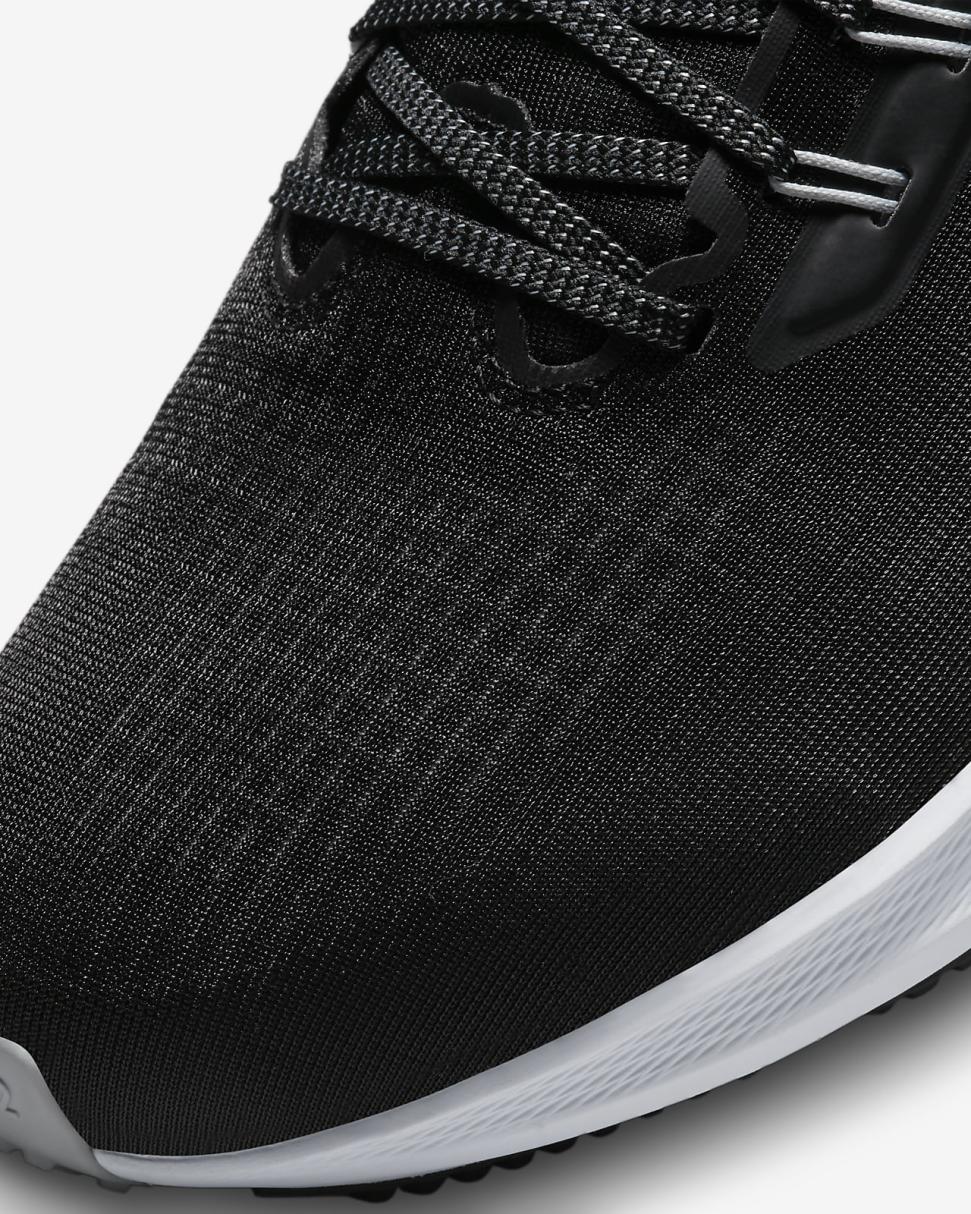 Nike Pegasus 39 (NFL Las Vegas Raiders) Black/Black/Field Silver/White | Mens Nike Running