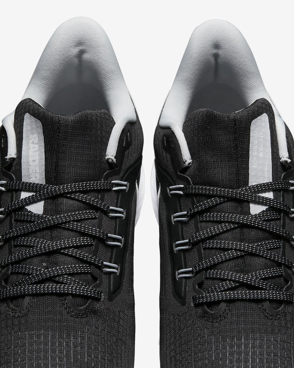 Nike Pegasus 39 (NFL Las Vegas Raiders) Black/Black/Field Silver/White | Mens Nike Running