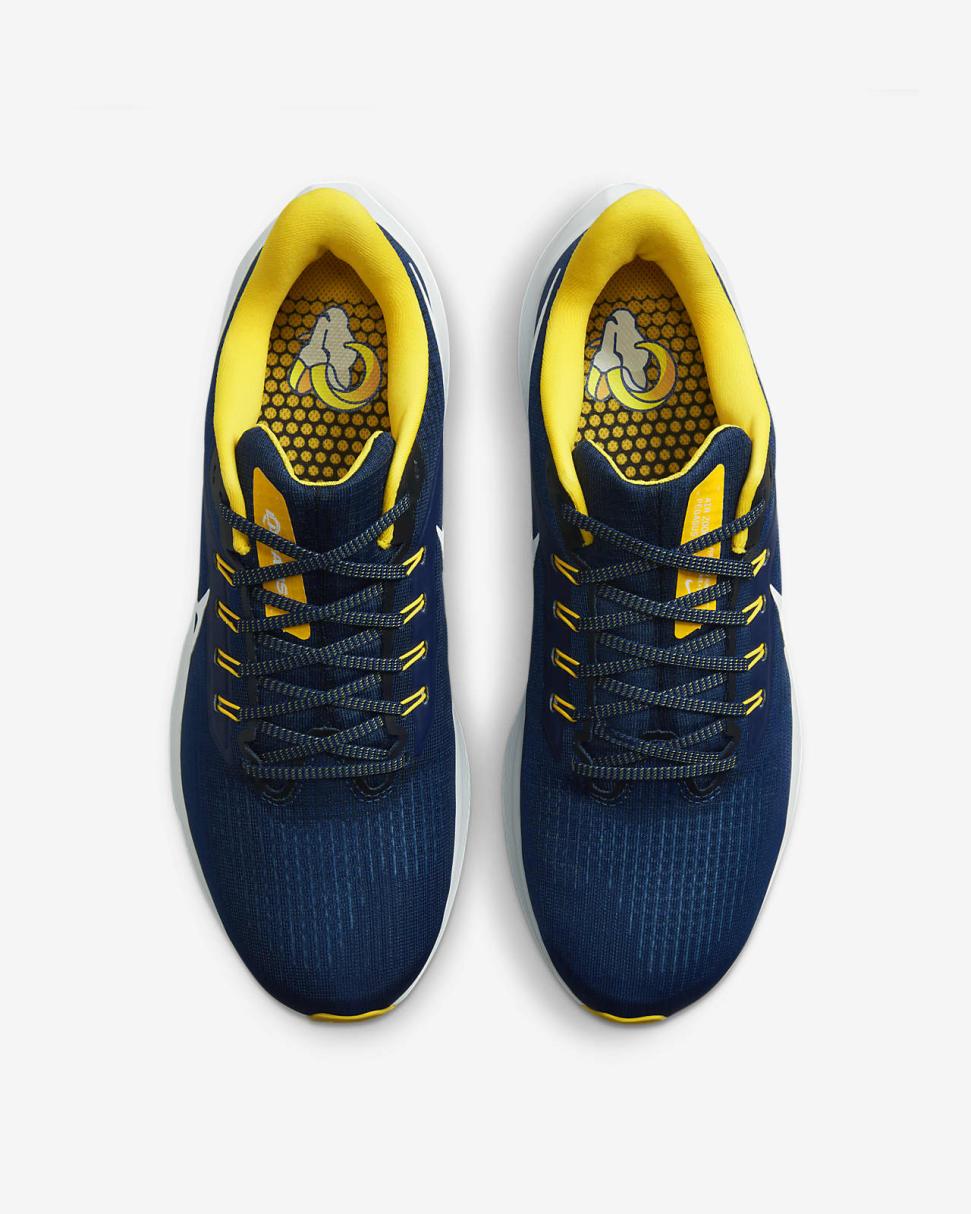 Nike Pegasus 39 (NFL Los Angeles Rams) Old Royal/Old Royal/University Gold/White | Mens Nike Running