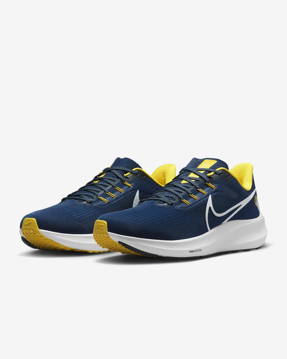 Nike Pegasus 39 (NFL Los Angeles Rams) Old Royal/Old Royal/University Gold/White | Mens Nike Running