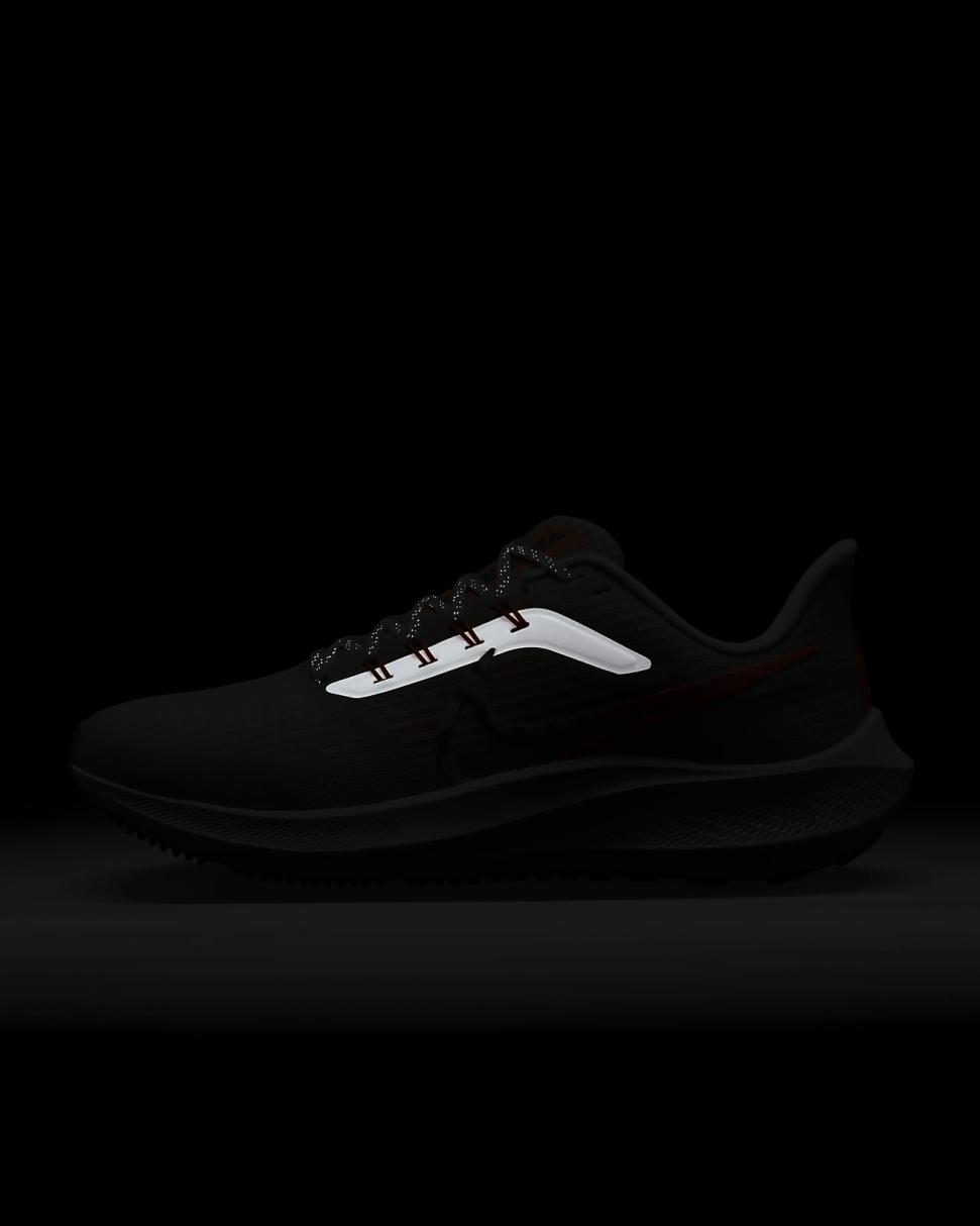 Nike Pegasus 39 Premium Photon Dust/Total Orange/Light Iron Ore/Mint Foam | Womens Nike Running