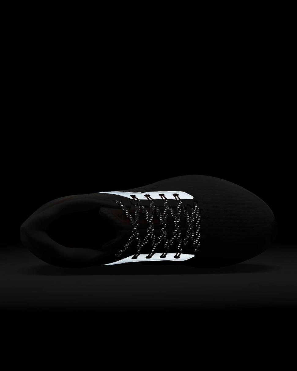 Nike Pegasus 39 Premium Photon Dust/Total Orange/Light Iron Ore/Mint Foam | Womens Nike Running