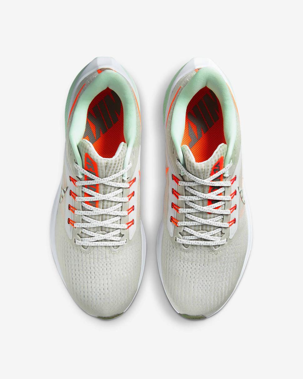 Nike Pegasus 39 Premium Photon Dust/Total Orange/Light Iron Ore/Mint Foam | Womens Nike Running