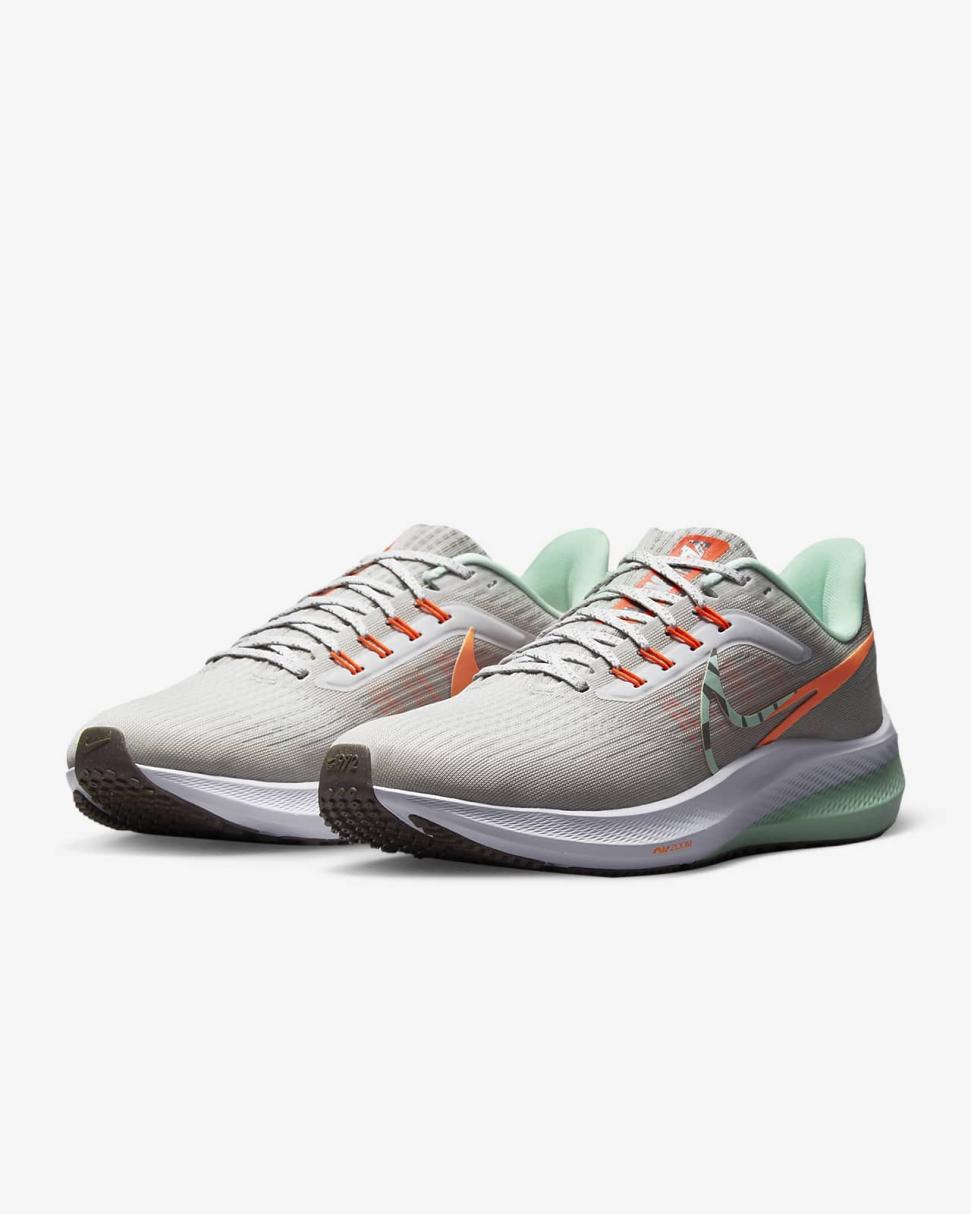 Nike Pegasus 39 Premium Photon Dust/Total Orange/Light Iron Ore/Mint Foam | Womens Nike Running
