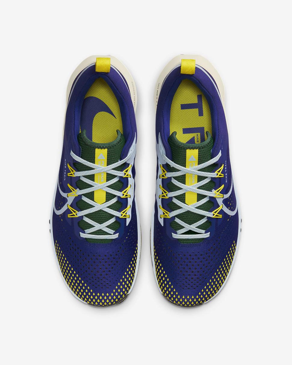 Nike Pegasus Trail 4 Deep Royal Blue/Gorge Green/Enamel Green/Celestine Blue | Mens Nike Running