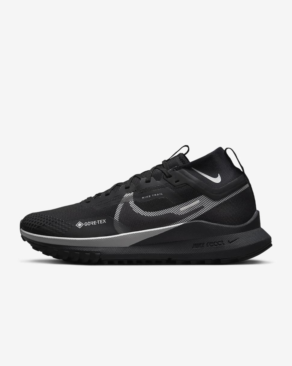 Nike Pegasus Trail 4 GORE-TEX Black/Reflect Silver/Wolf Grey | Mens Nike Running