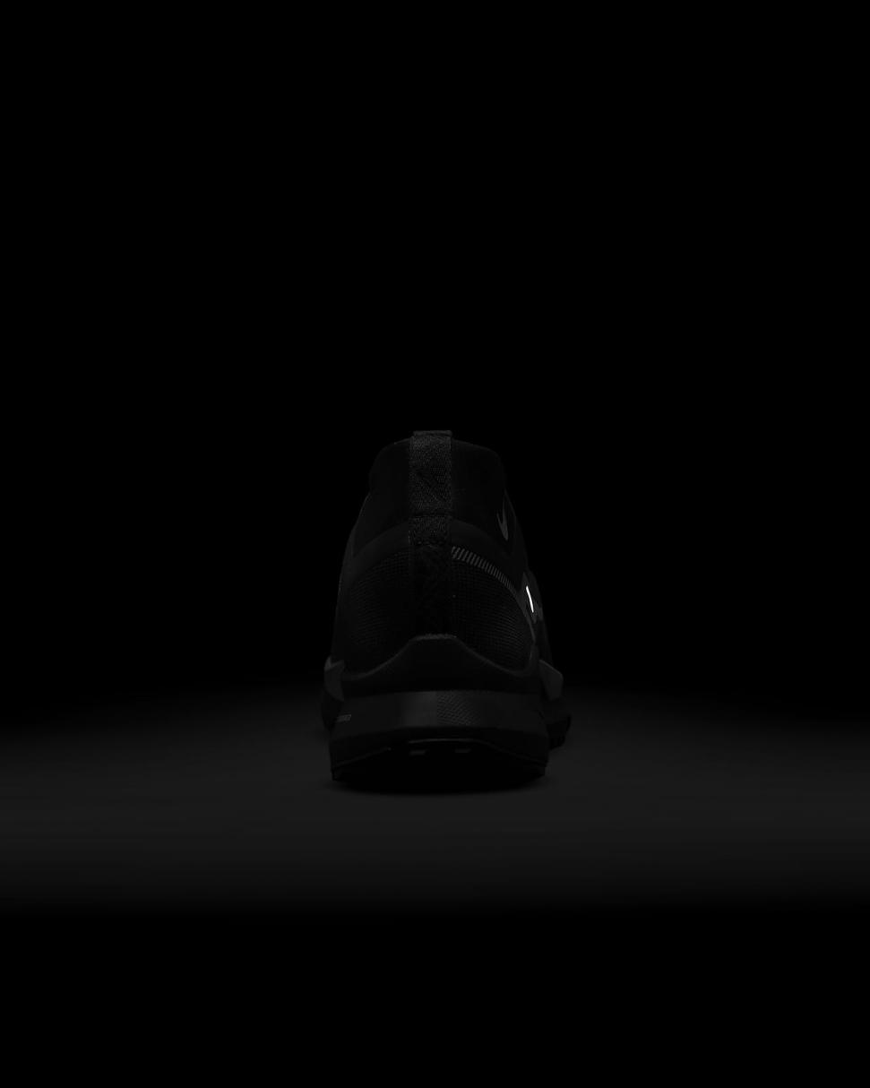 Nike Pegasus Trail 4 GORE-TEX Black/Reflect Silver/Wolf Grey | Mens Nike Running