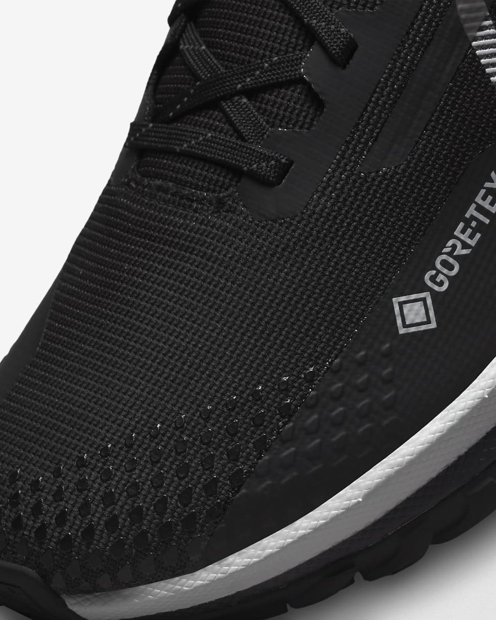 Nike Pegasus Trail 4 GORE-TEX Black/Reflect Silver/Wolf Grey | Mens Nike Running