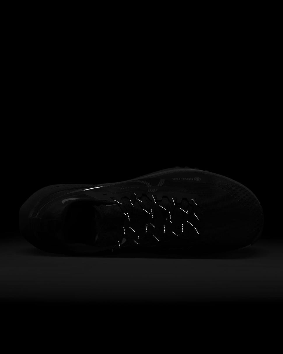 Nike Pegasus Trail 4 GORE-TEX Black/Reflect Silver/Wolf Grey | Mens Nike Running