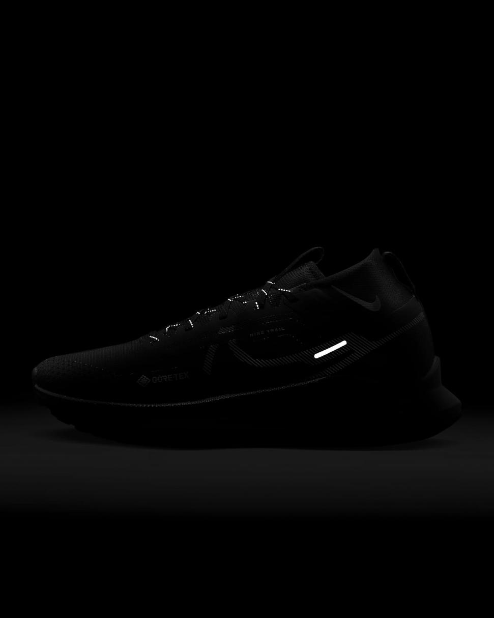Nike Pegasus Trail 4 GORE-TEX Black/Reflect Silver/Wolf Grey | Mens Nike Running
