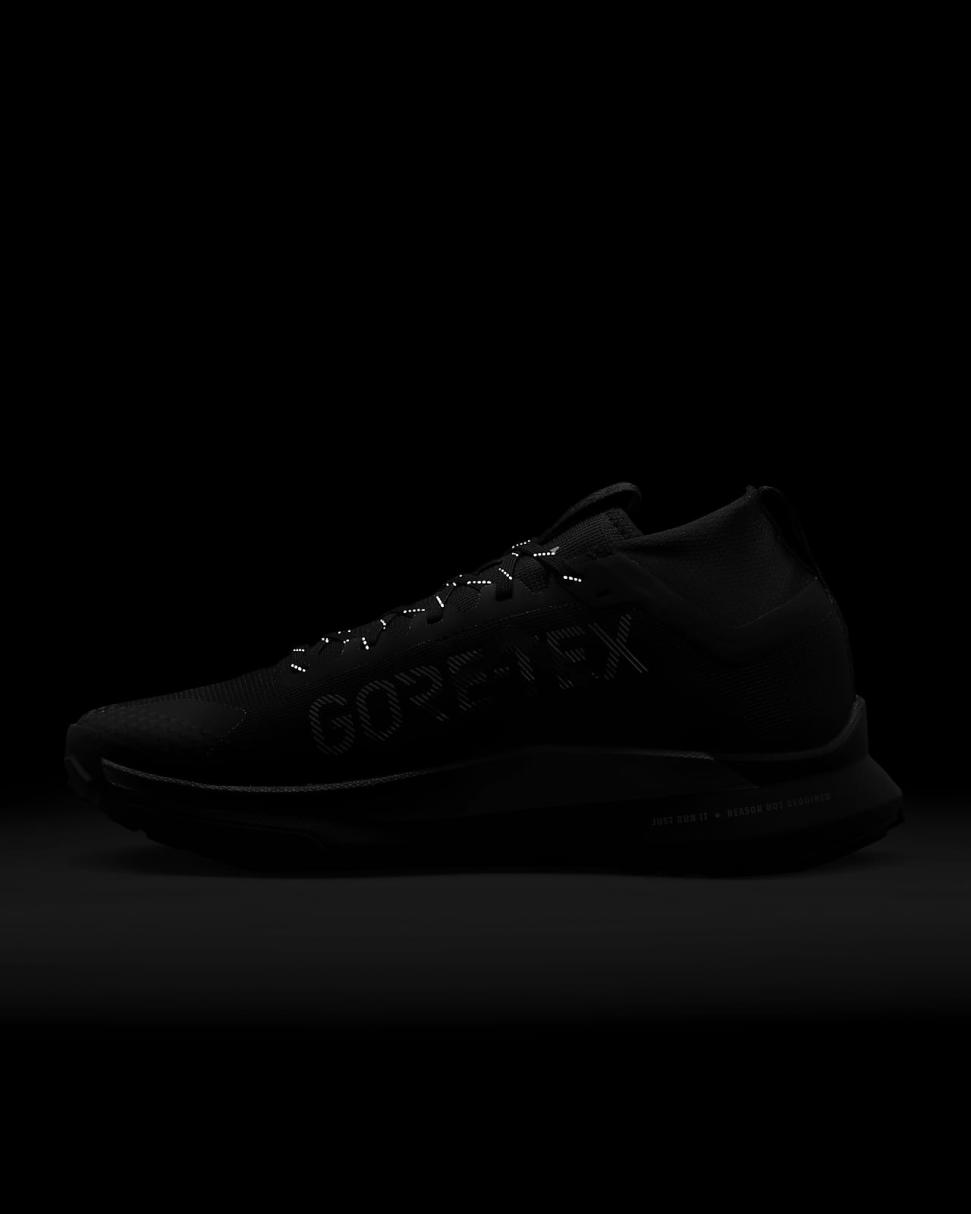 Nike Pegasus Trail 4 GORE-TEX Black/Reflect Silver/Wolf Grey | Mens Nike Running