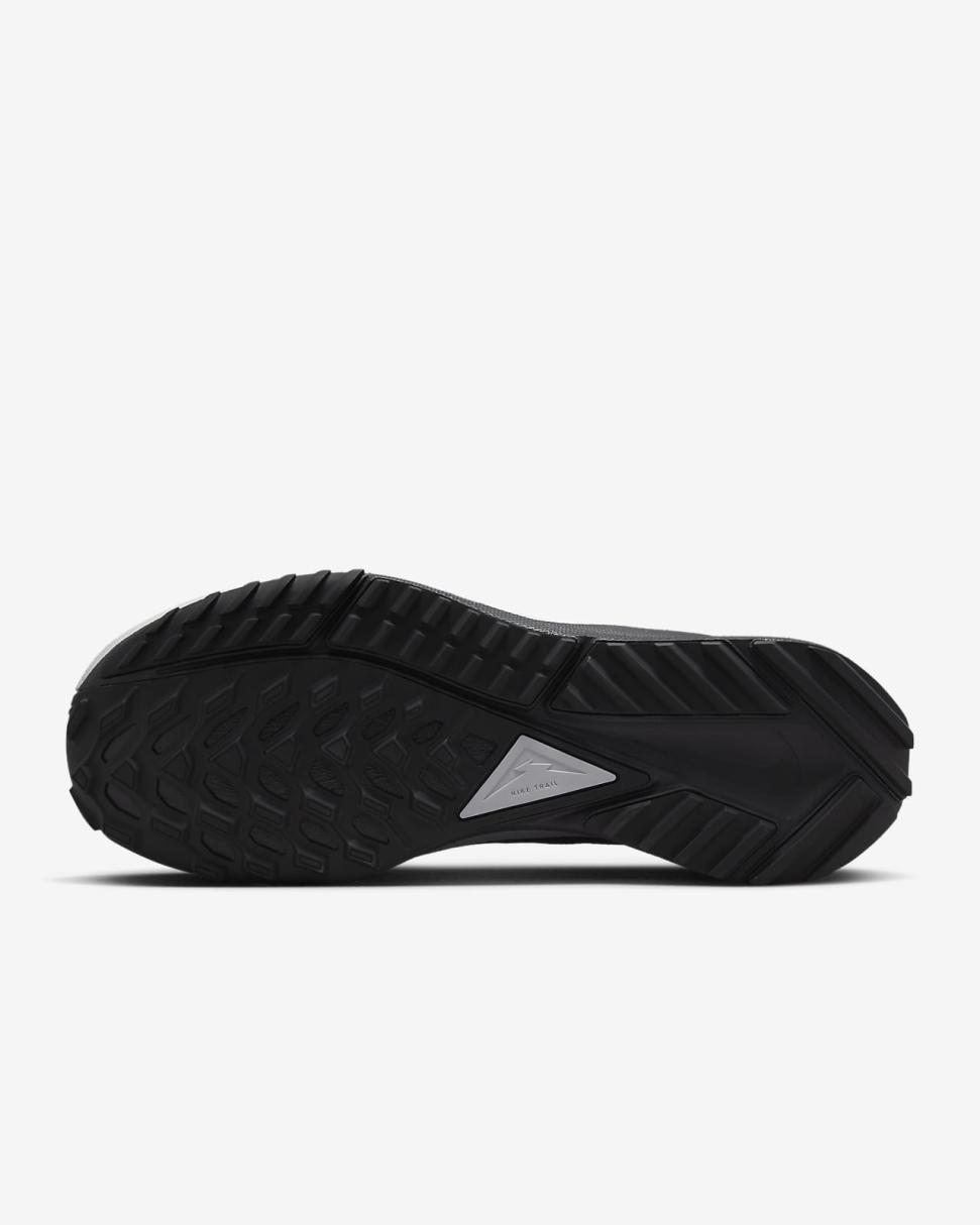 Nike Pegasus Trail 4 GORE-TEX Black/Reflect Silver/Wolf Grey | Mens Nike Running