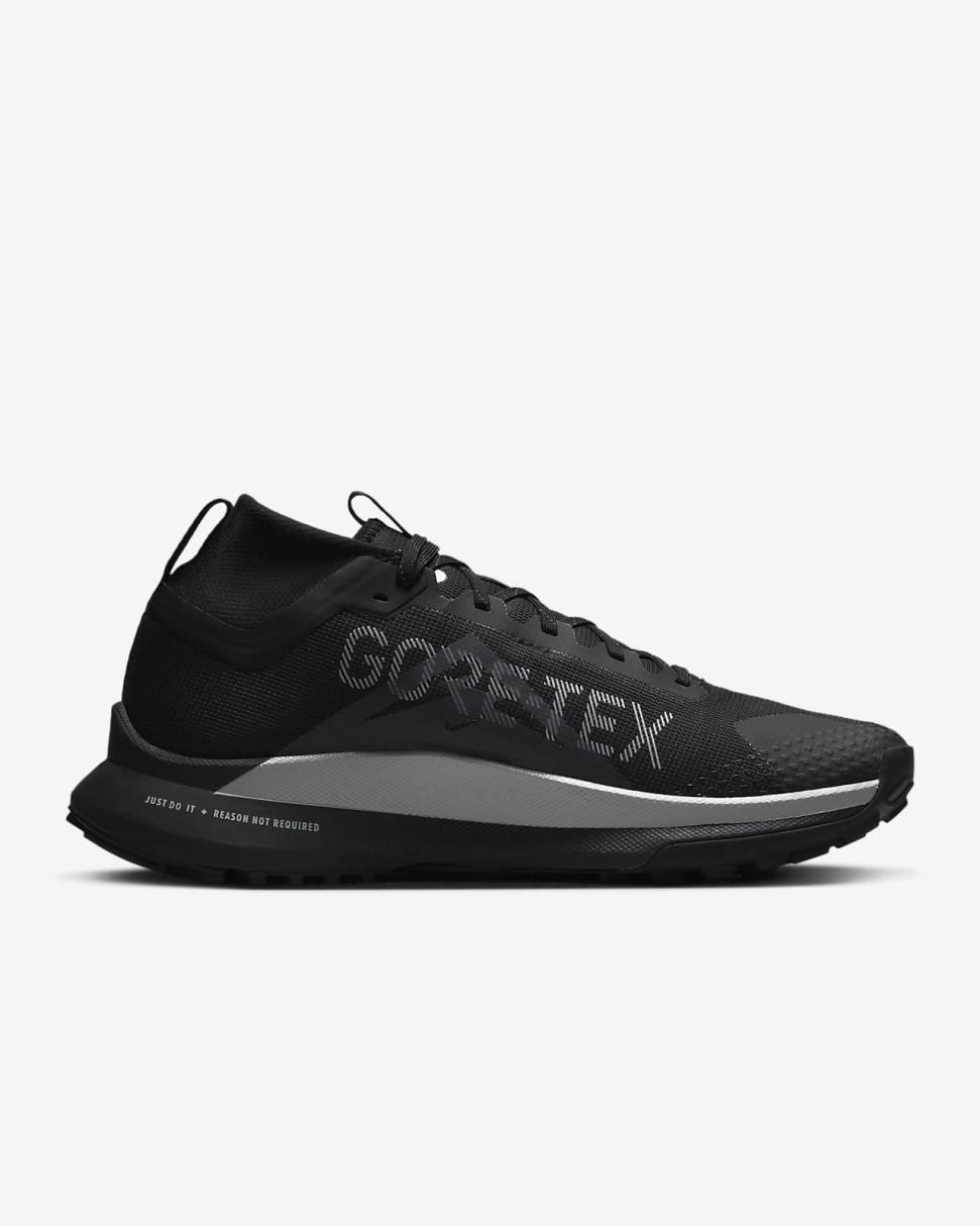 Nike Pegasus Trail 4 GORE-TEX Black/Reflect Silver/Wolf Grey | Mens Nike Running