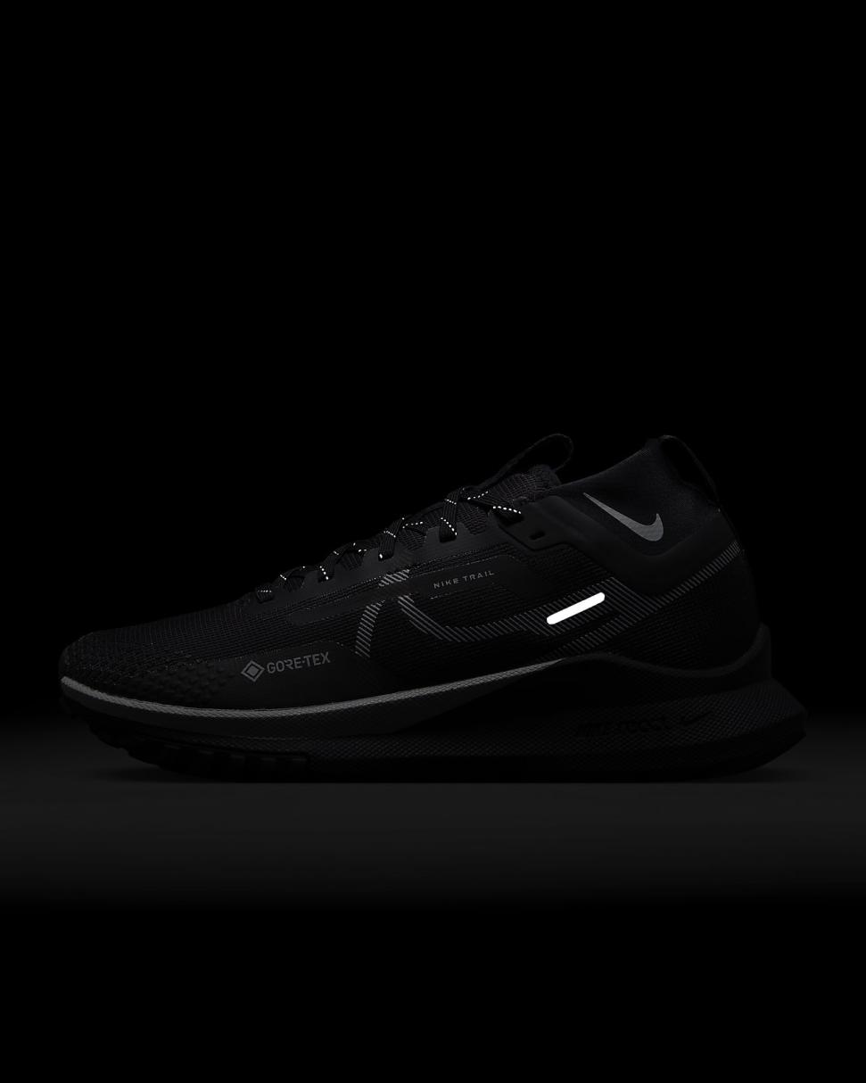 Nike Pegasus Trail 4 GORE-TEX Black/Reflect Silver/Wolf Grey | Womens Nike Running