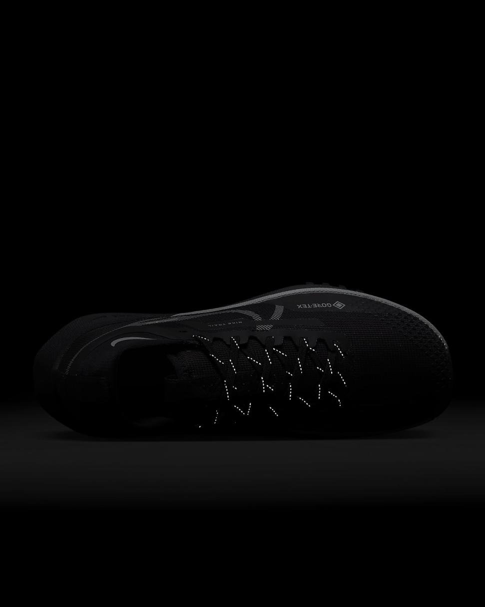 Nike Pegasus Trail 4 GORE-TEX Black/Reflect Silver/Wolf Grey | Womens Nike Running