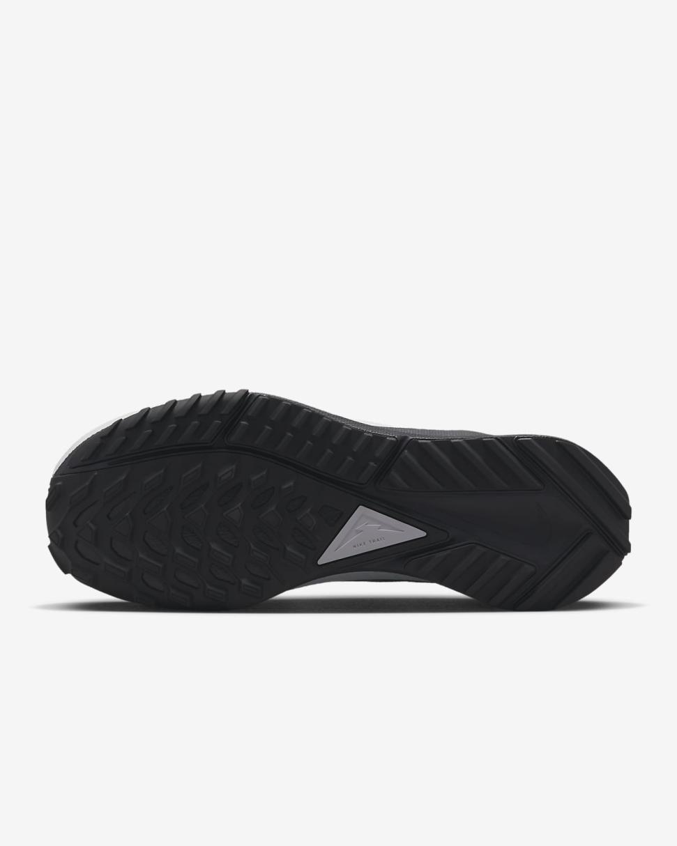 Nike Pegasus Trail 4 GORE-TEX Black/Reflect Silver/Wolf Grey | Womens Nike Running