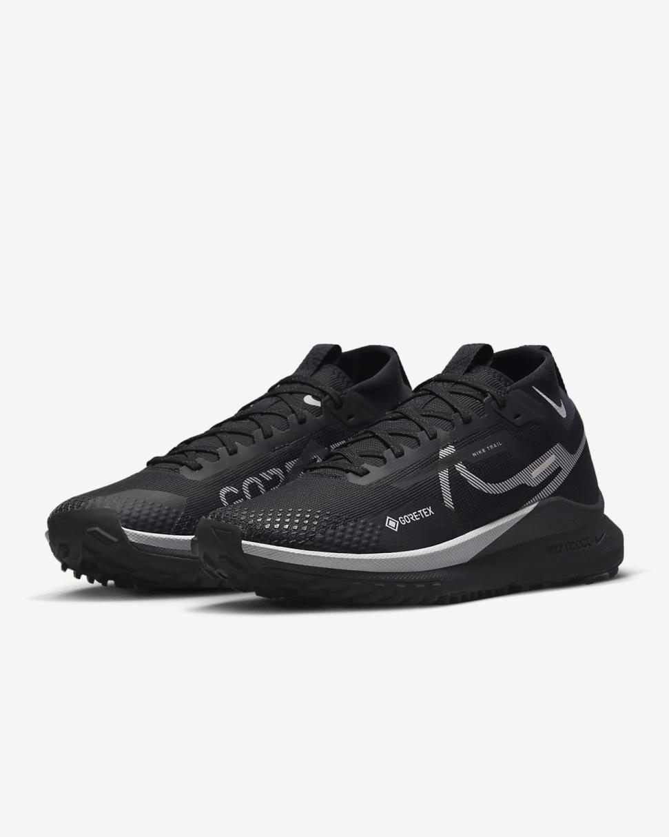 Nike Pegasus Trail 4 GORE-TEX Black/Reflect Silver/Wolf Grey | Womens Nike Running