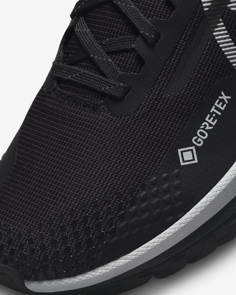 Nike Pegasus Trail 4 GORE-TEX Black/Reflect Silver/Wolf Grey | Womens Nike Running